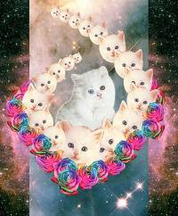 {{:playground:spacekitties.jpg?200|